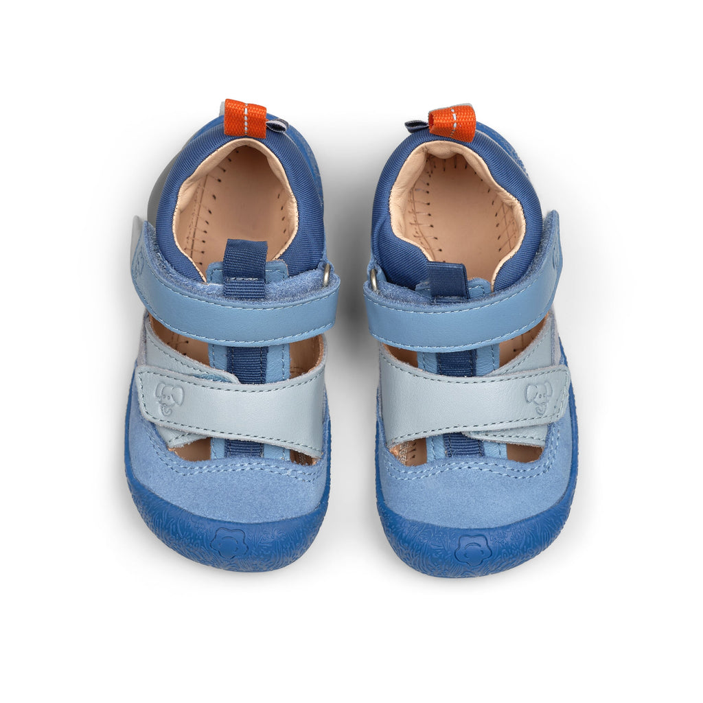 FREELY Elefant Bild 5