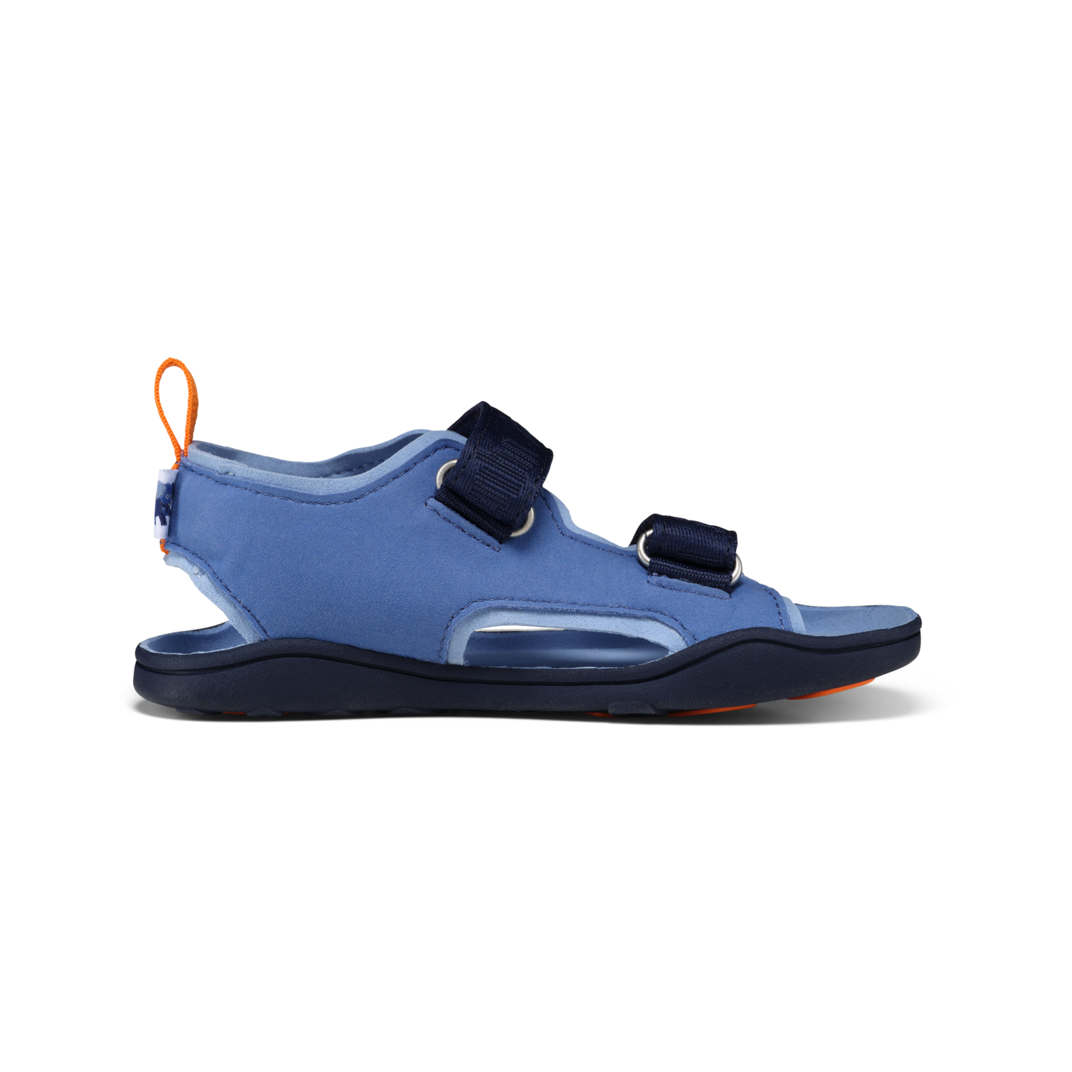 VEGAN AIRY Elefant Bild 5