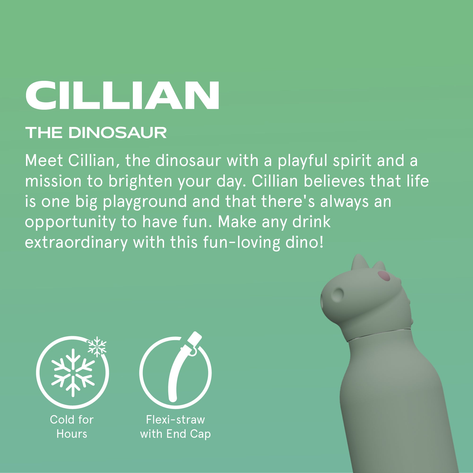 Dino Trinkflasche Dinosaurier Bild 2