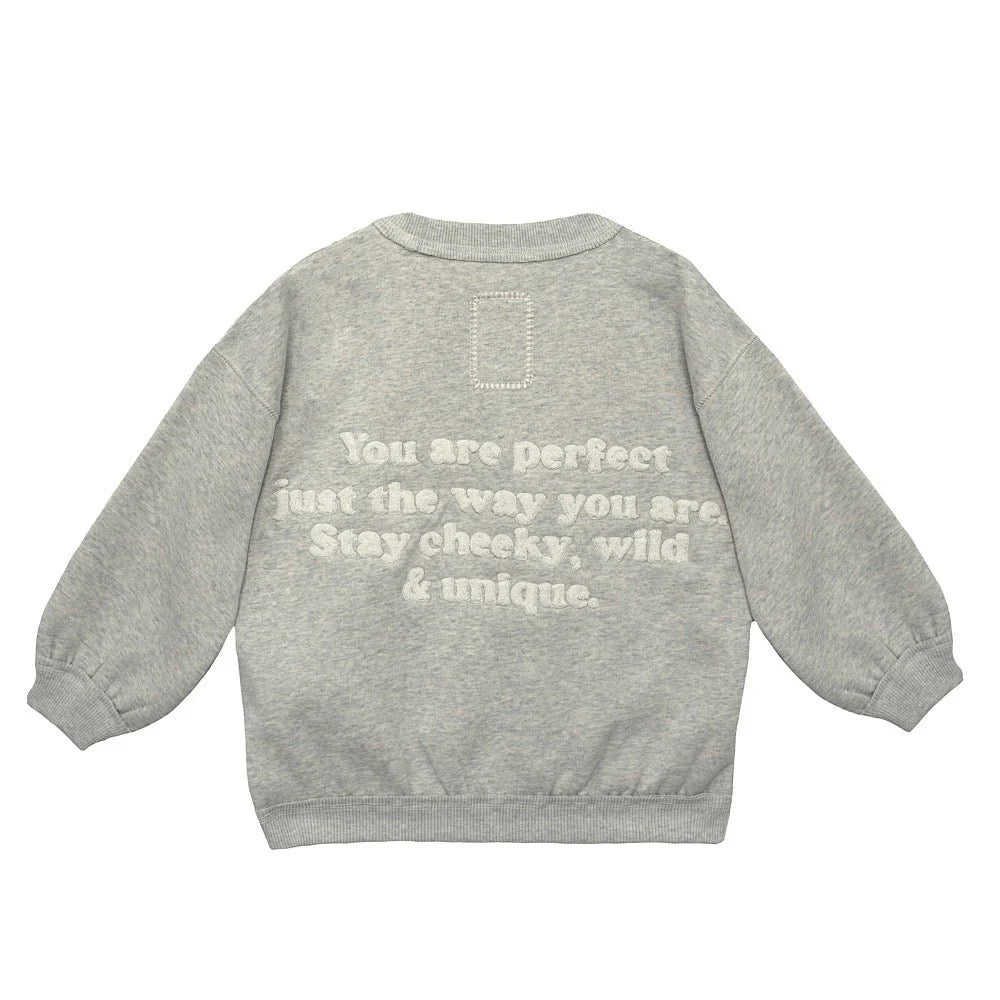 Parma Sweatshirt grey Bild 2