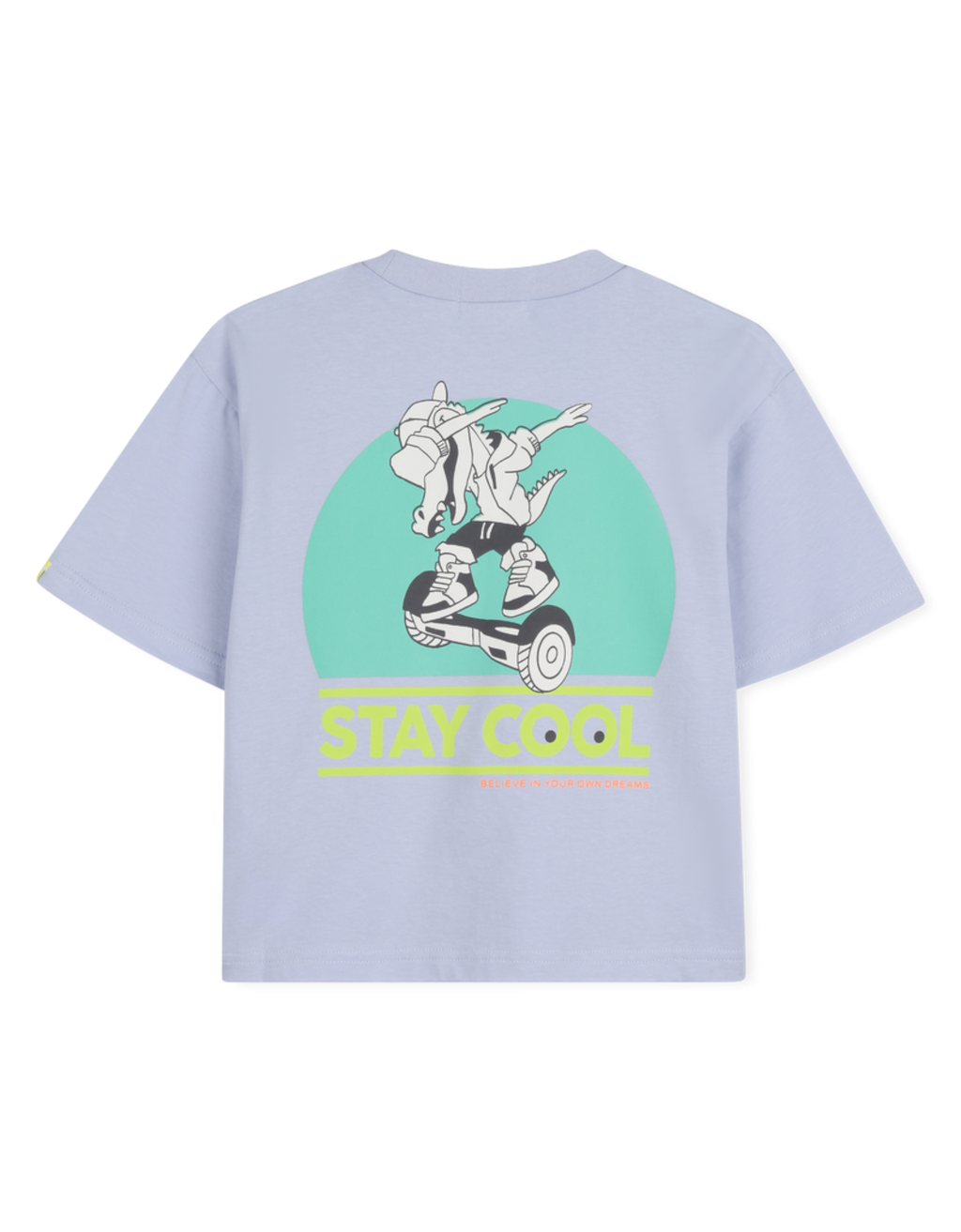 Fjord T-Shirt 79L Bild 2