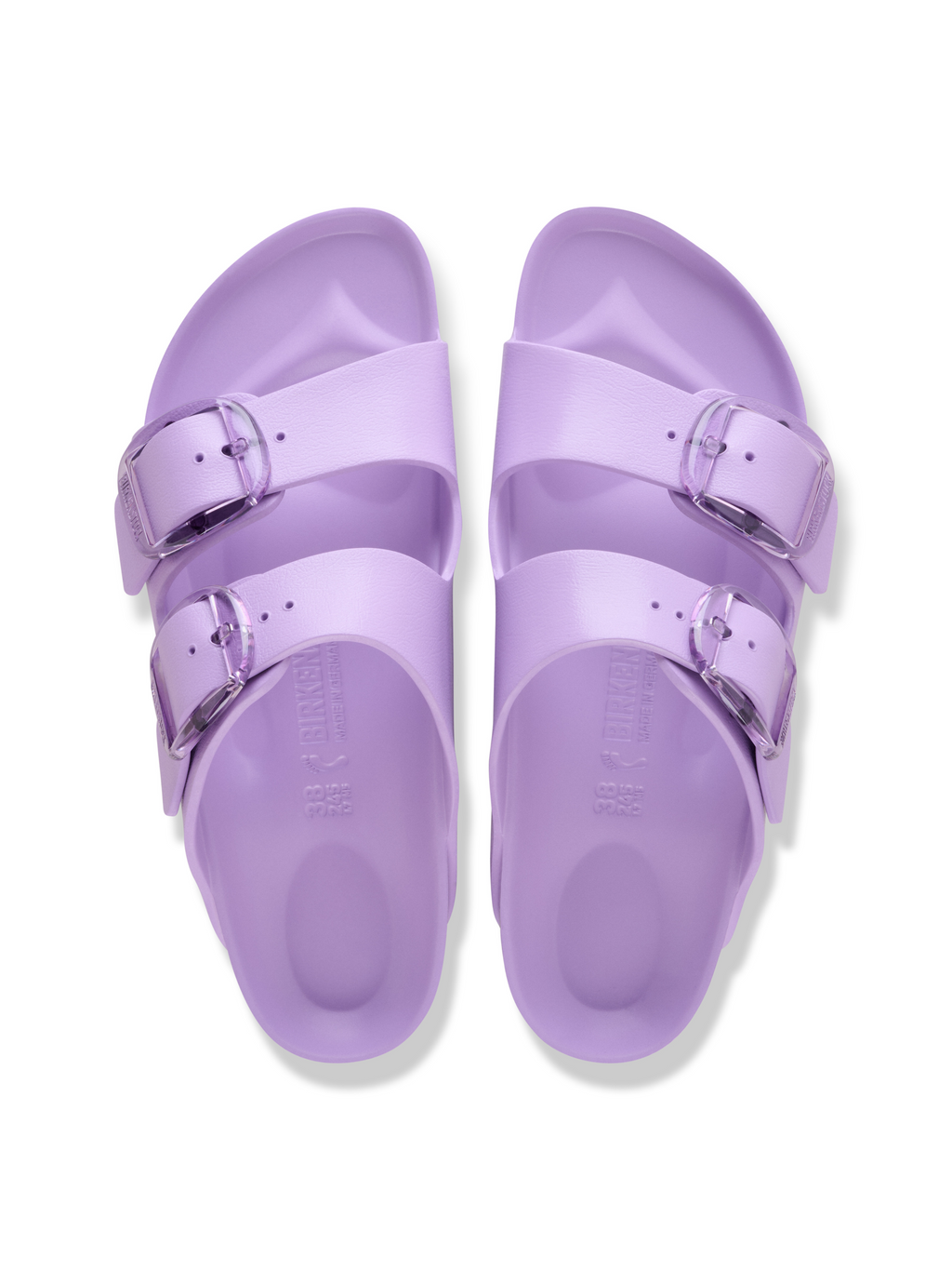 Arizona Big Buckle Crocus Bild 3