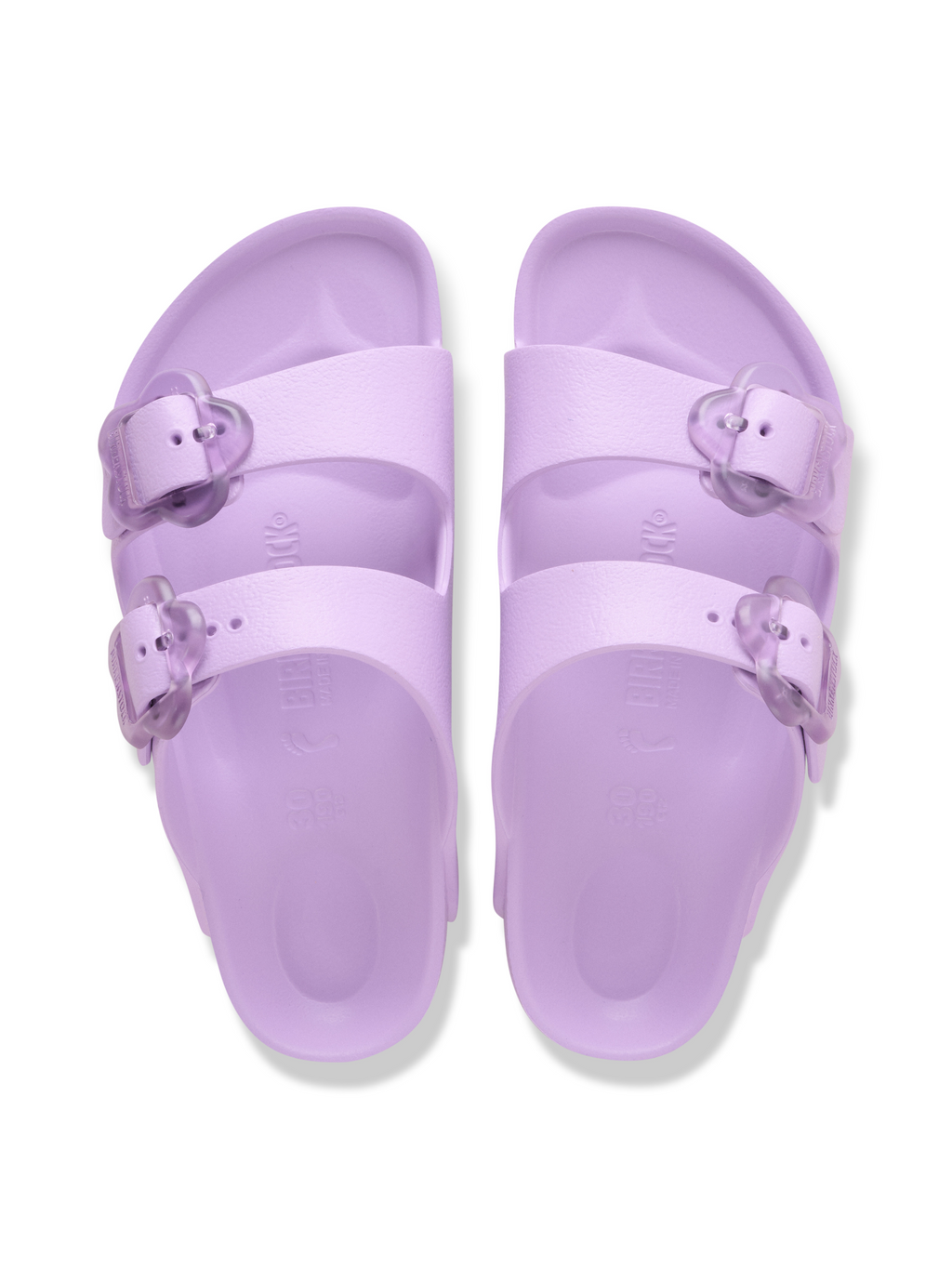 Arizona Flower Crocus Bild 3