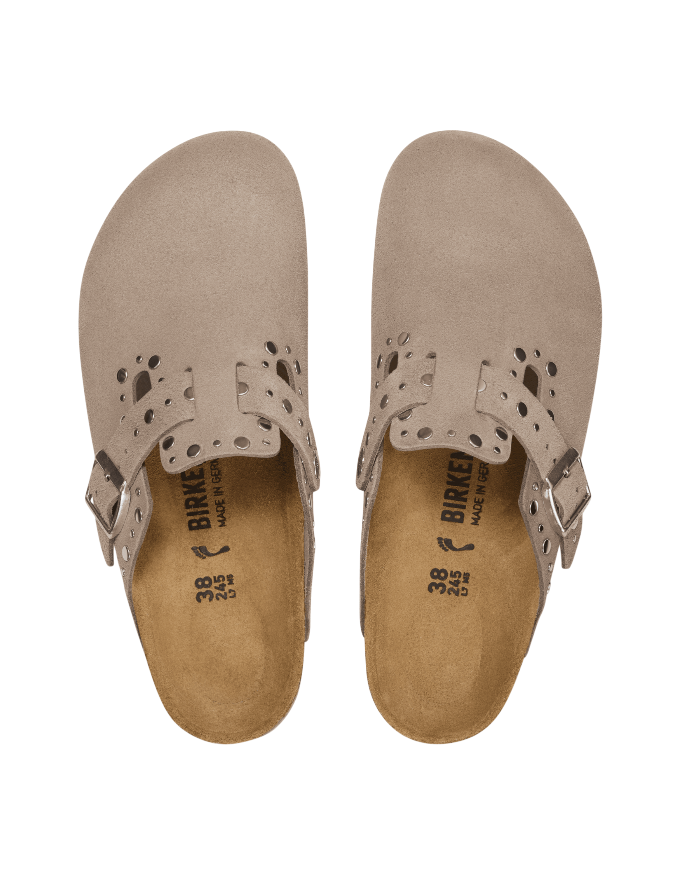 Boston Rivets Taube Bild 3