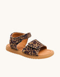 Andrea leopard leopard Bild 1