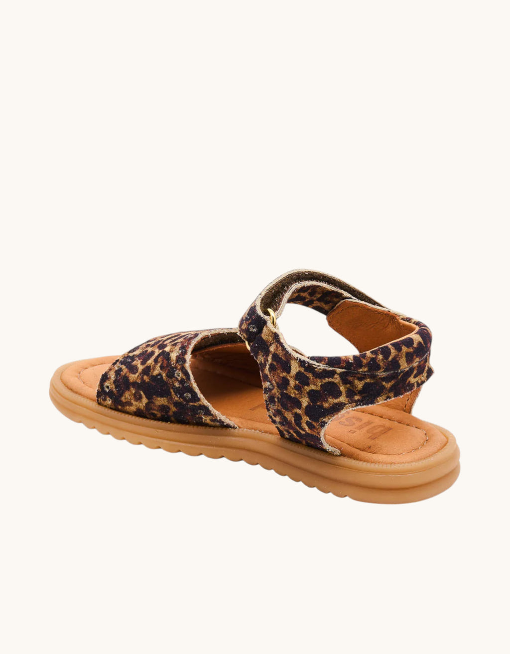 Andrea leopard leopard Bild 2