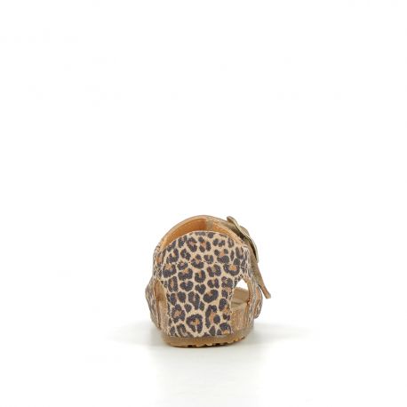 Edouarvelo Leo leo Bild 4