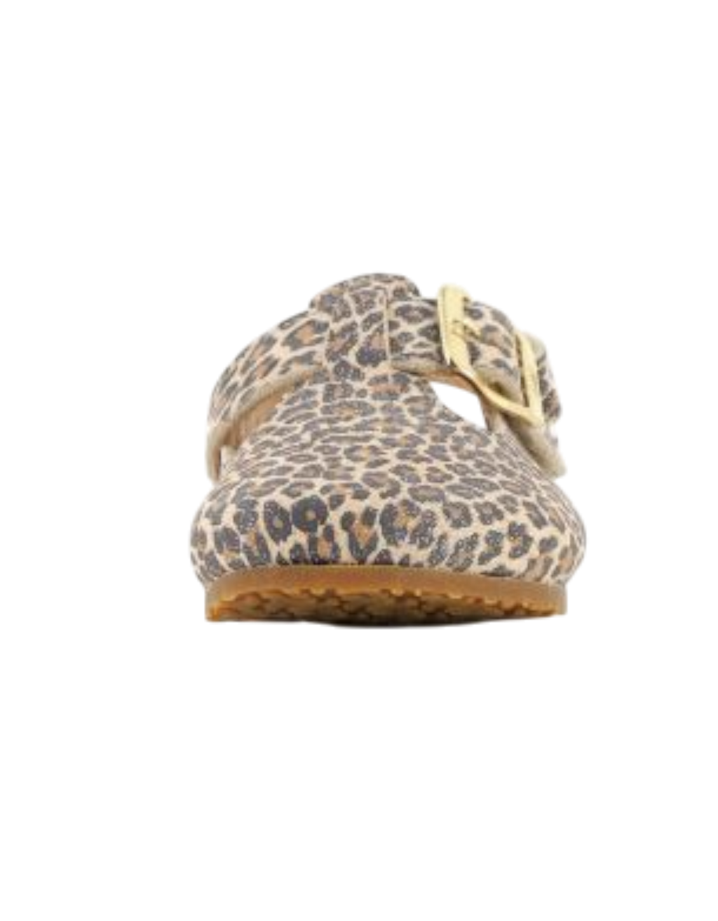 Essabo leo leo Bild 3