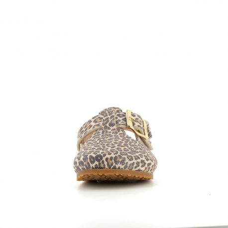 Essabo leo leo Bild 4