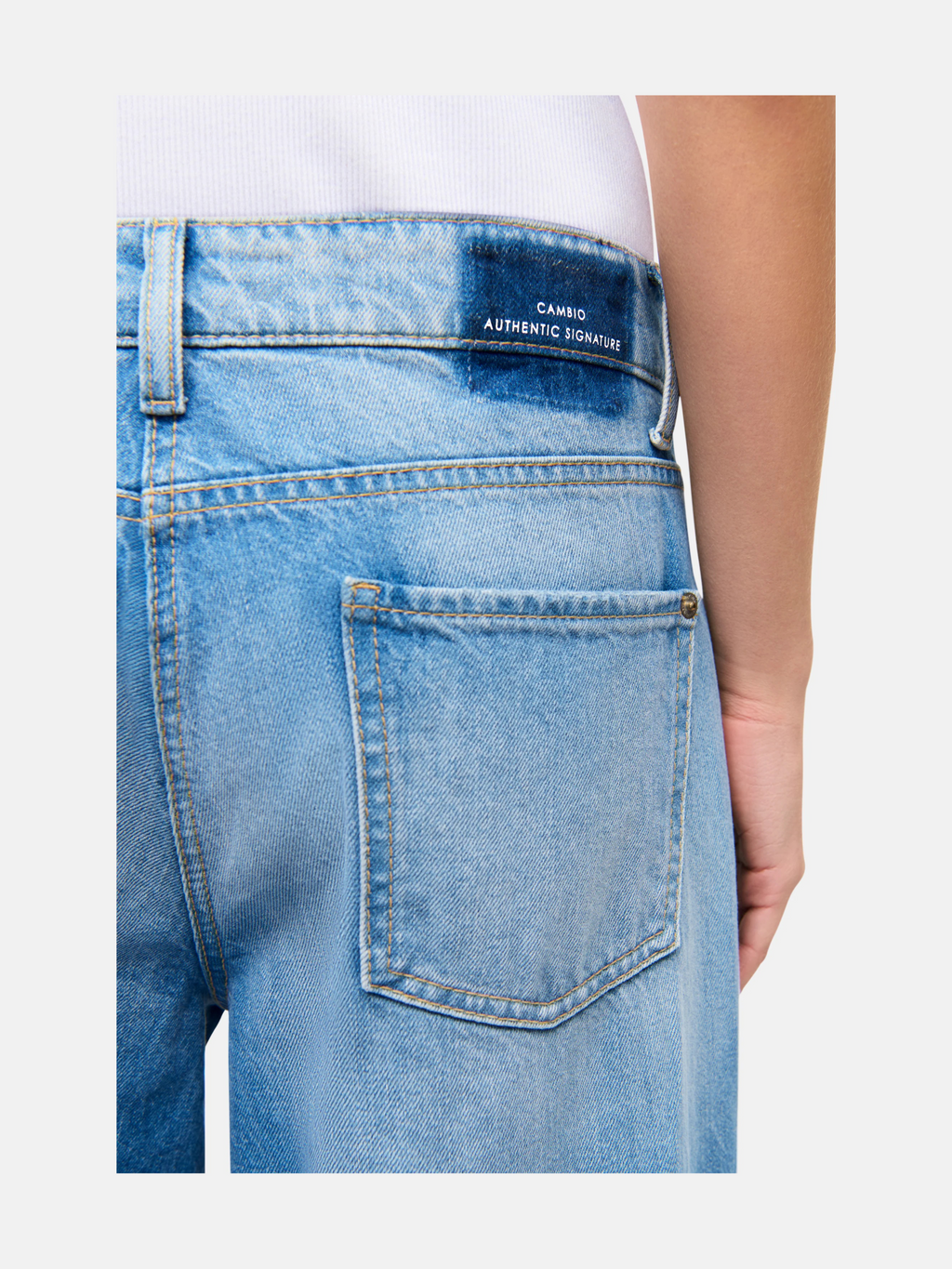 Palazzo cropped 5269 Bild 4