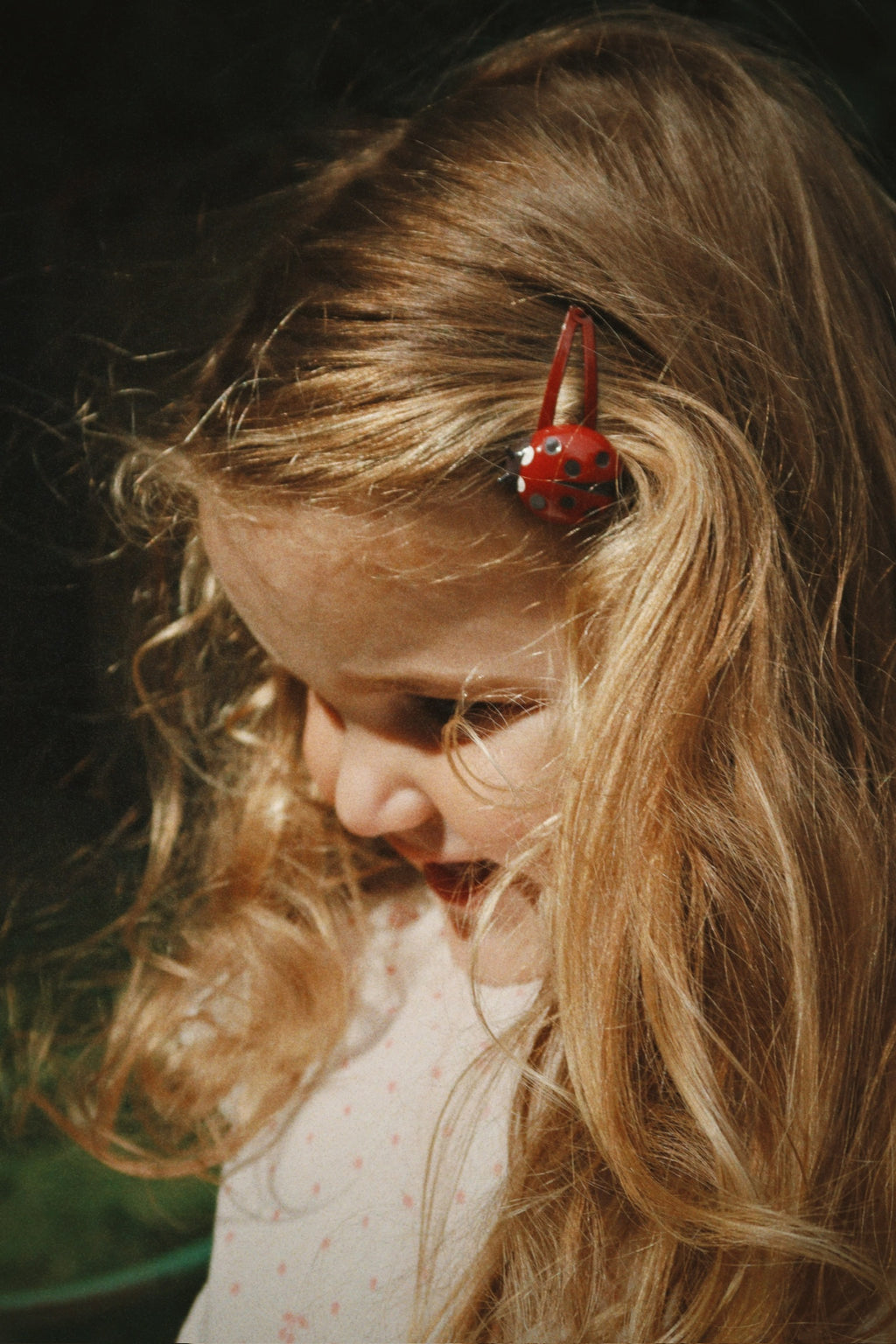 Haarclips Ladybug Bild 2