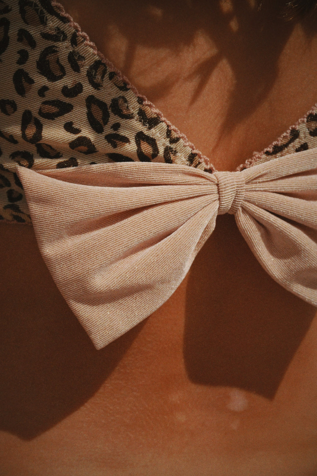 Kitty Bikini Leo Bild 4