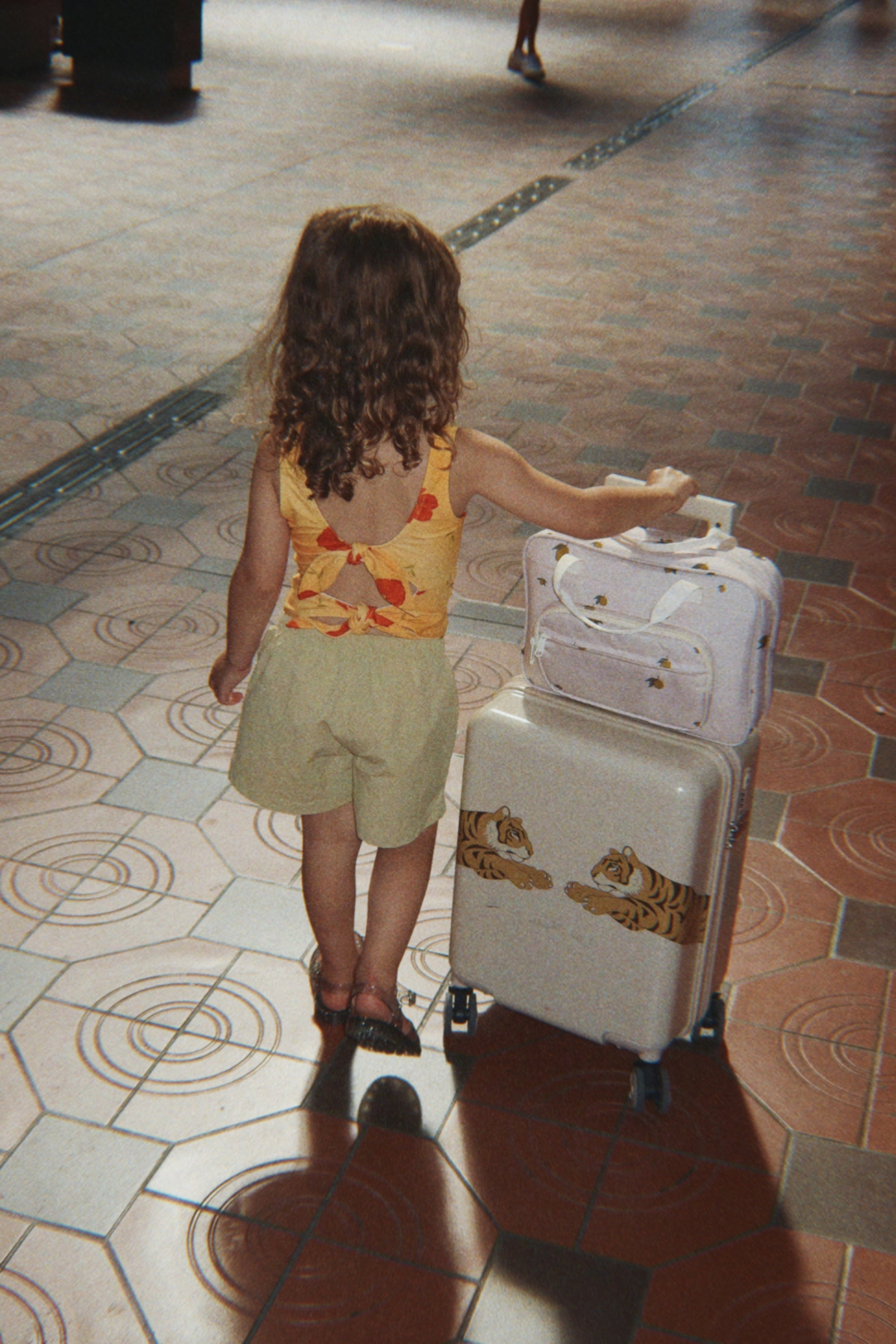 KS101089 Tiger Bild 2