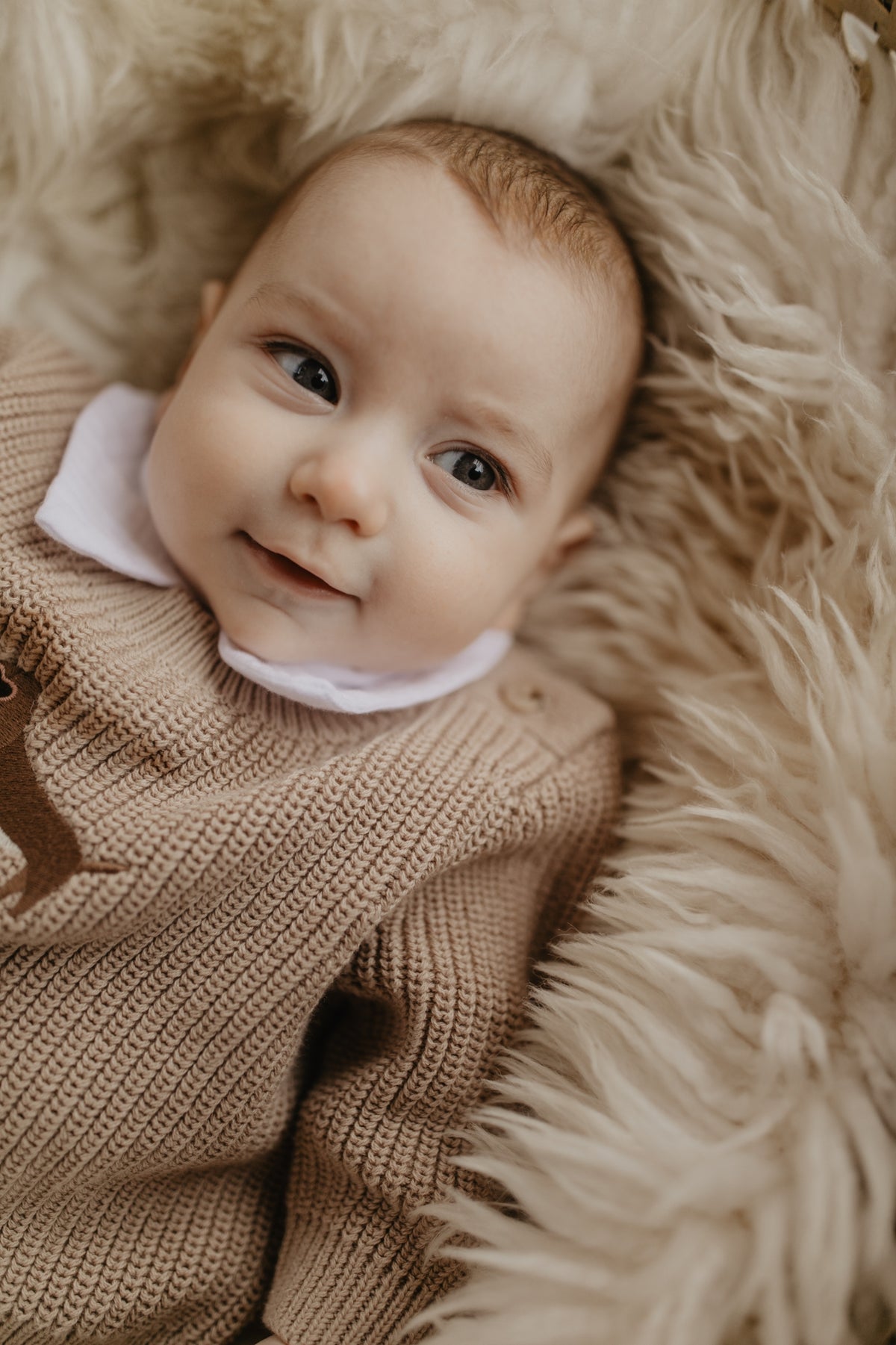 Dackel Baby Chunky Strickpullover dusty rose Bild 4
