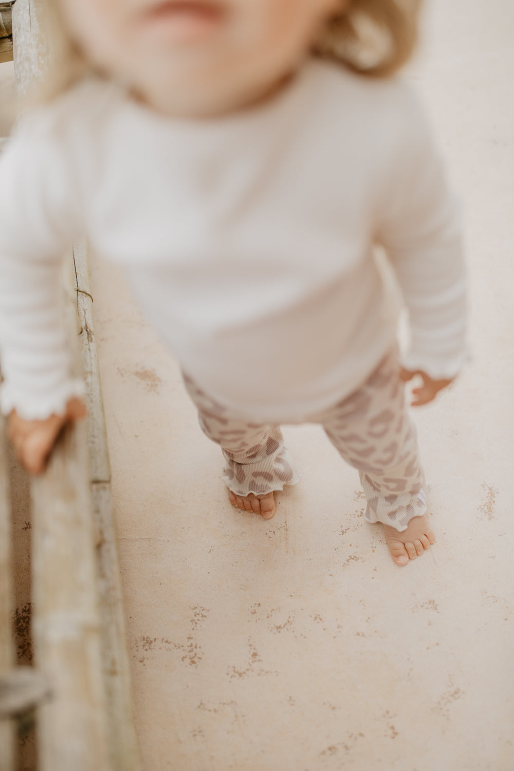 Flared Leo leo Bild 4