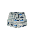 Aiden Badehose Shark / Dove B Bild 1