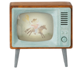 Fernseher Maus Fernseher Bild 1