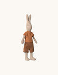 Hase Gr. 2 Hase Bild 1