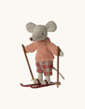Wintermaus mit Skiset Schwester Bild 1