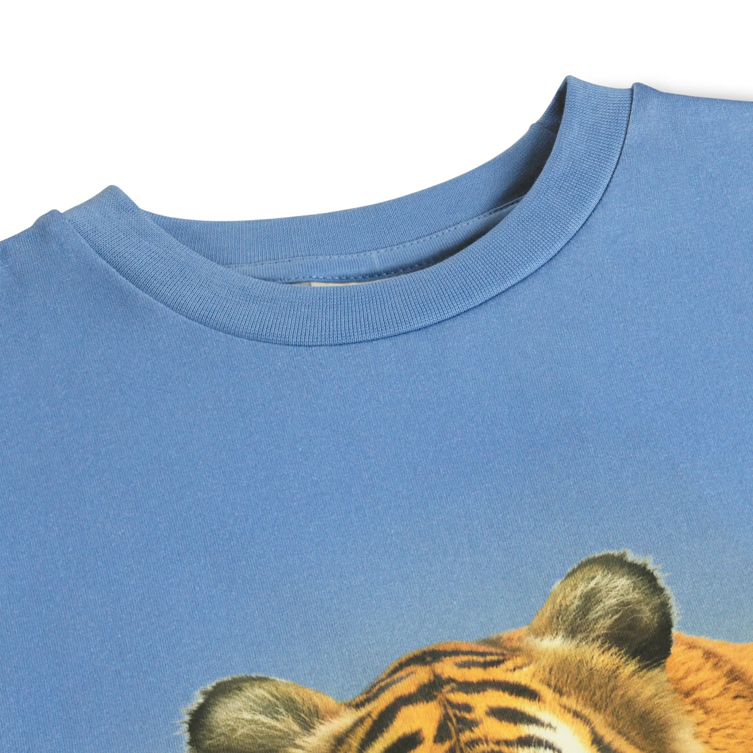 Rubin T-Shirt Tiger on Blue Bild 3