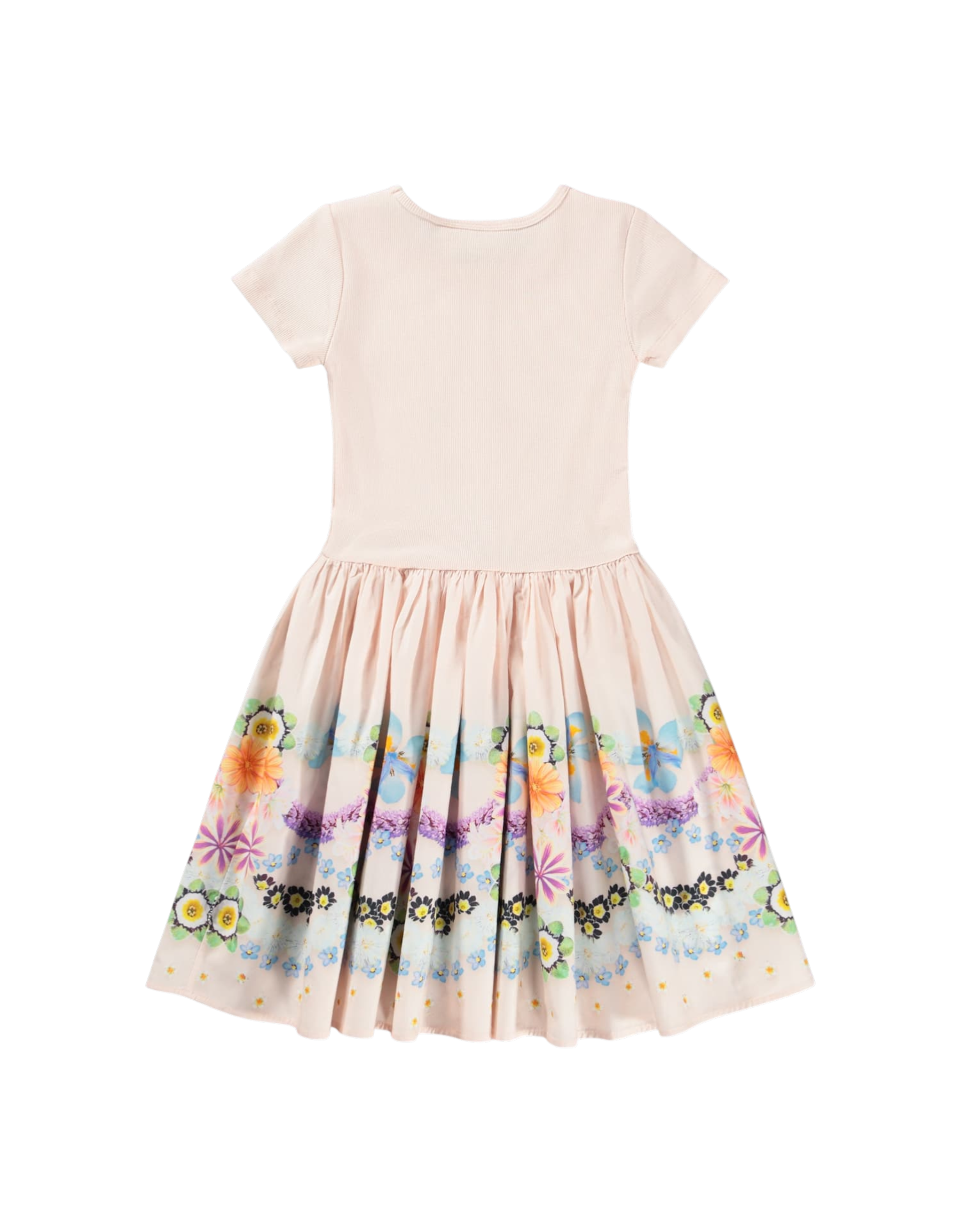 Cissa Kleid Floral Icing Bild 2