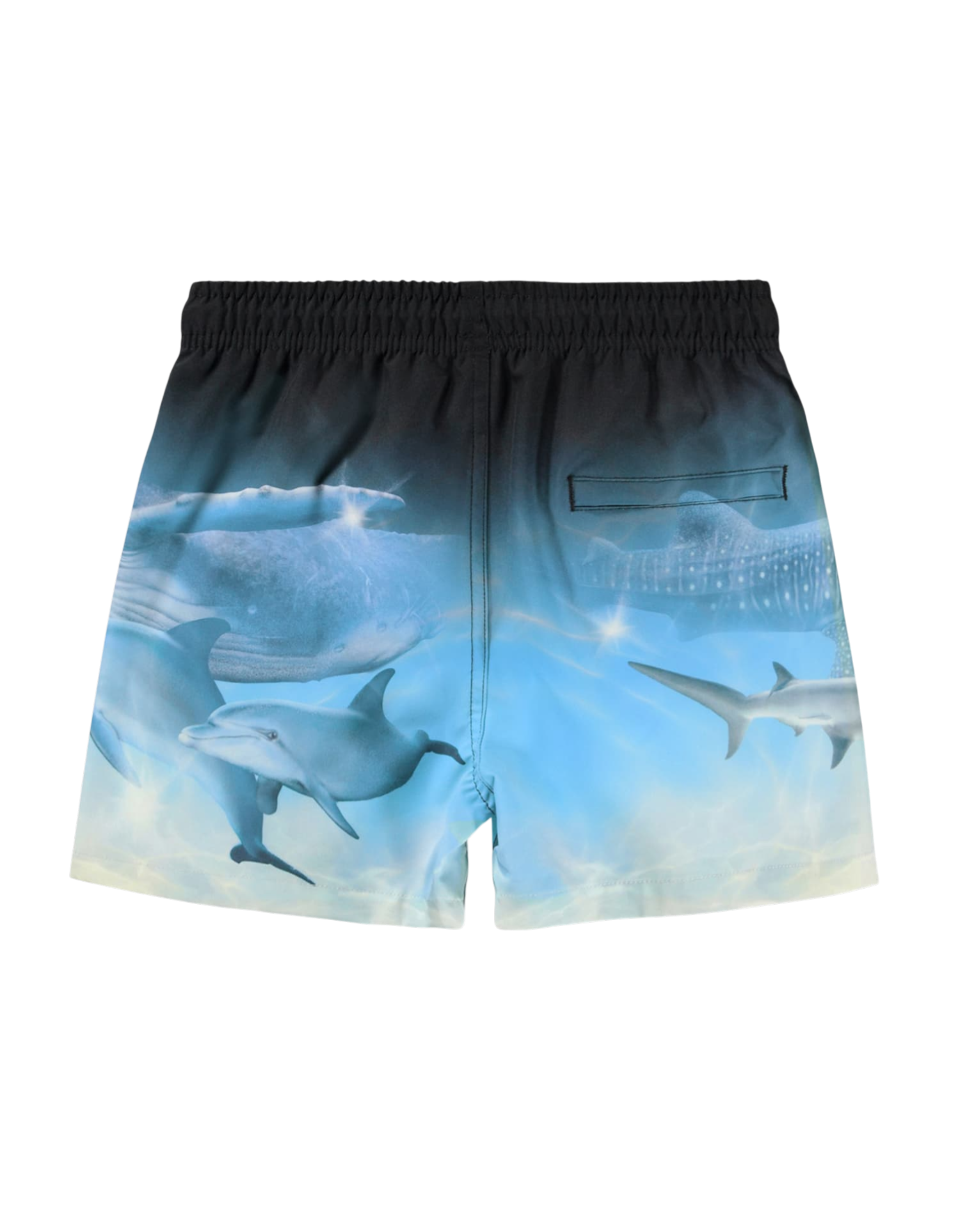 Niko Badeshort Air Brush Deep Bild 2
