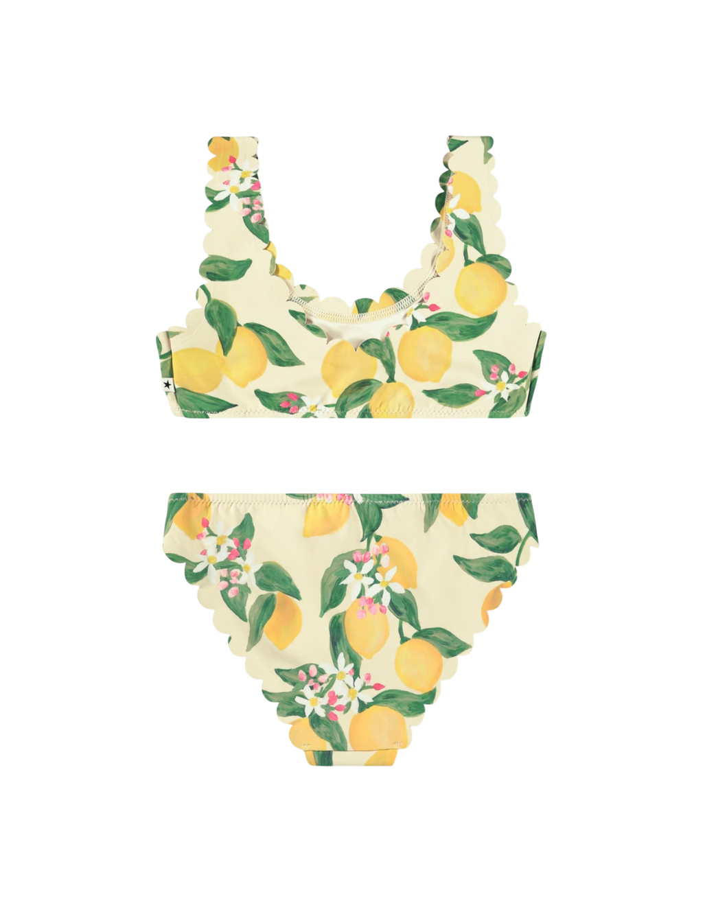 Nolina Bikini Citrus Bild 2