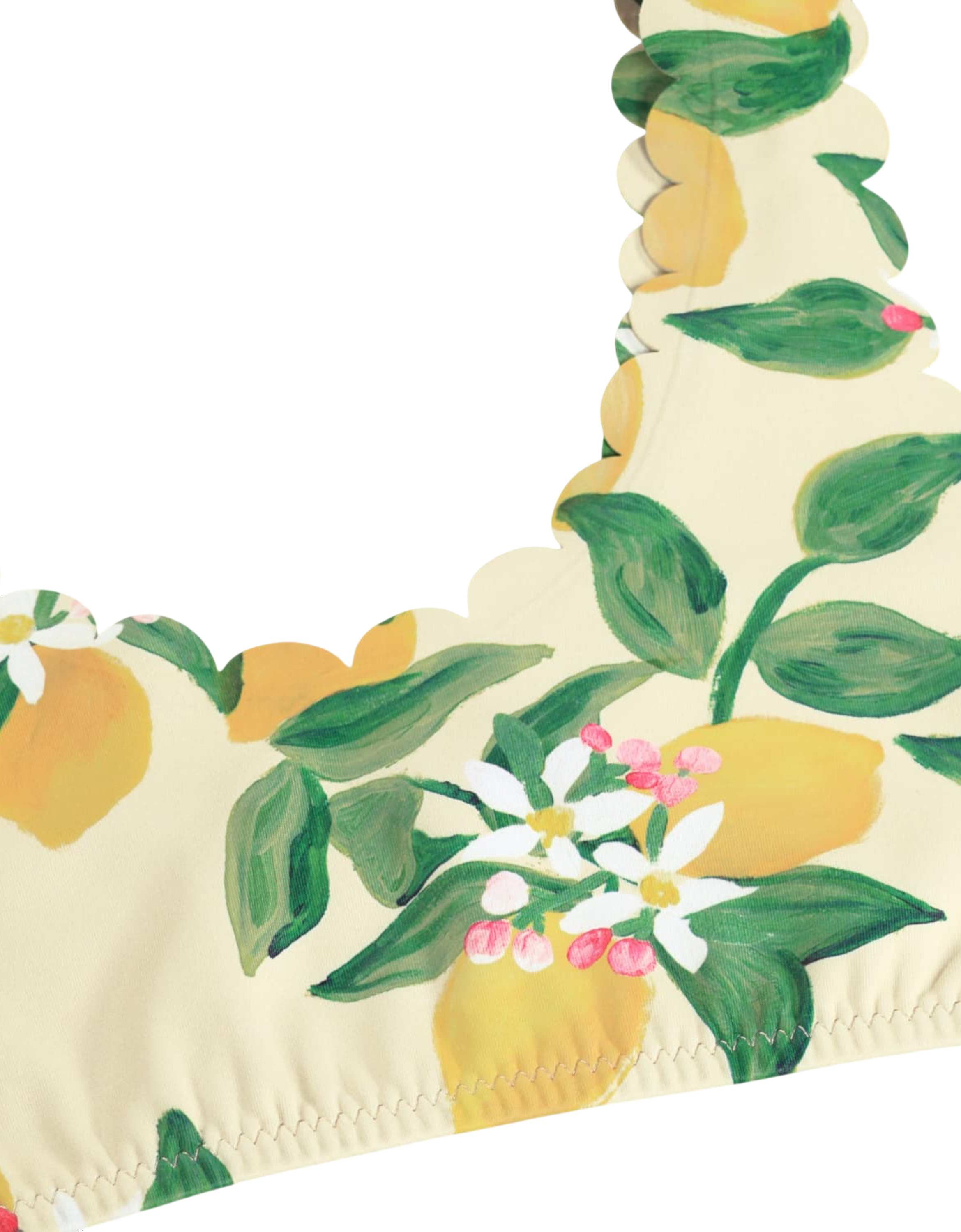Nolina Bikini Citrus Bild 3