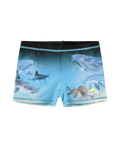 Norton Badeshort Brush Deep Bild 1
