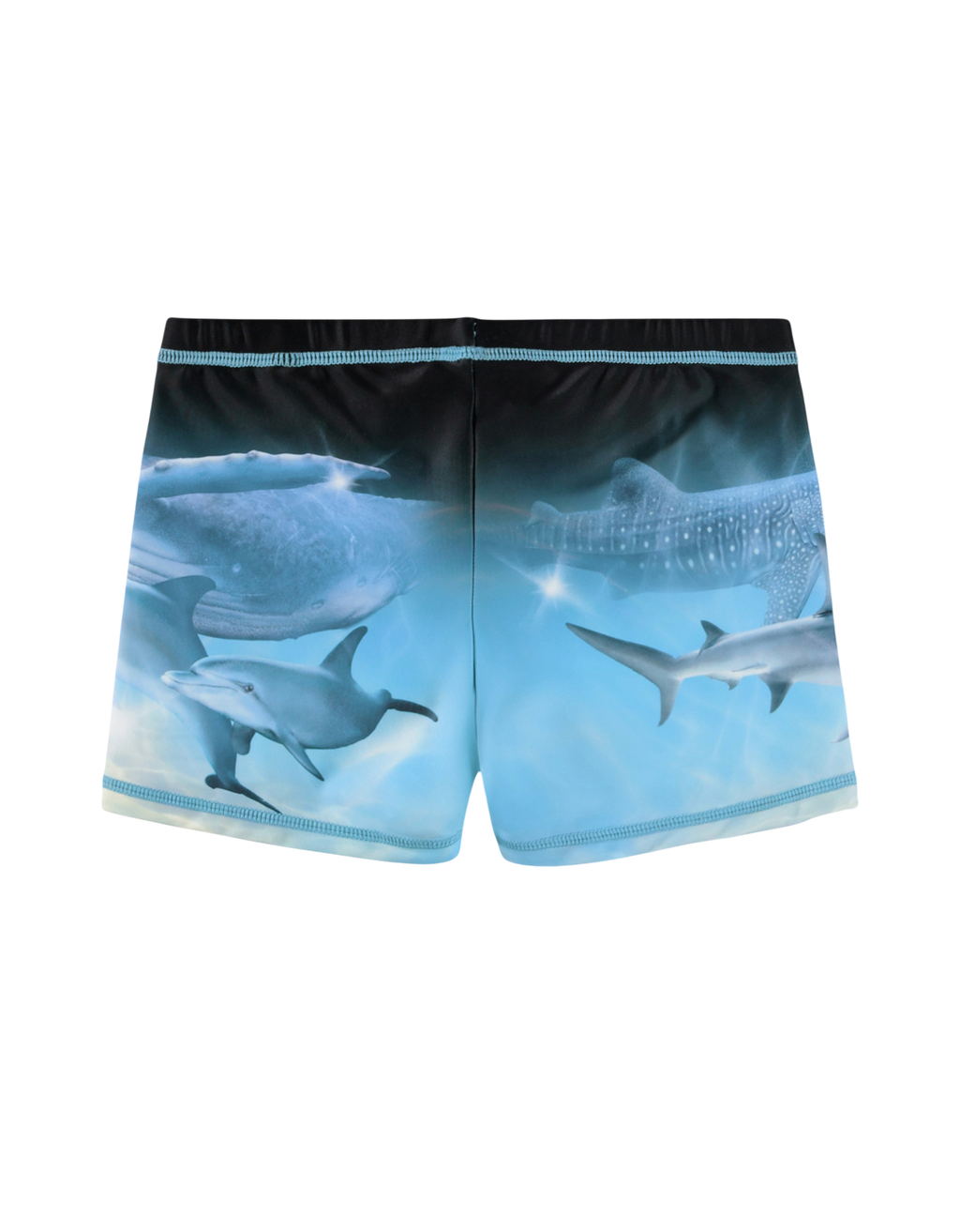 Norton Badeshort Brush Deep Bild 2