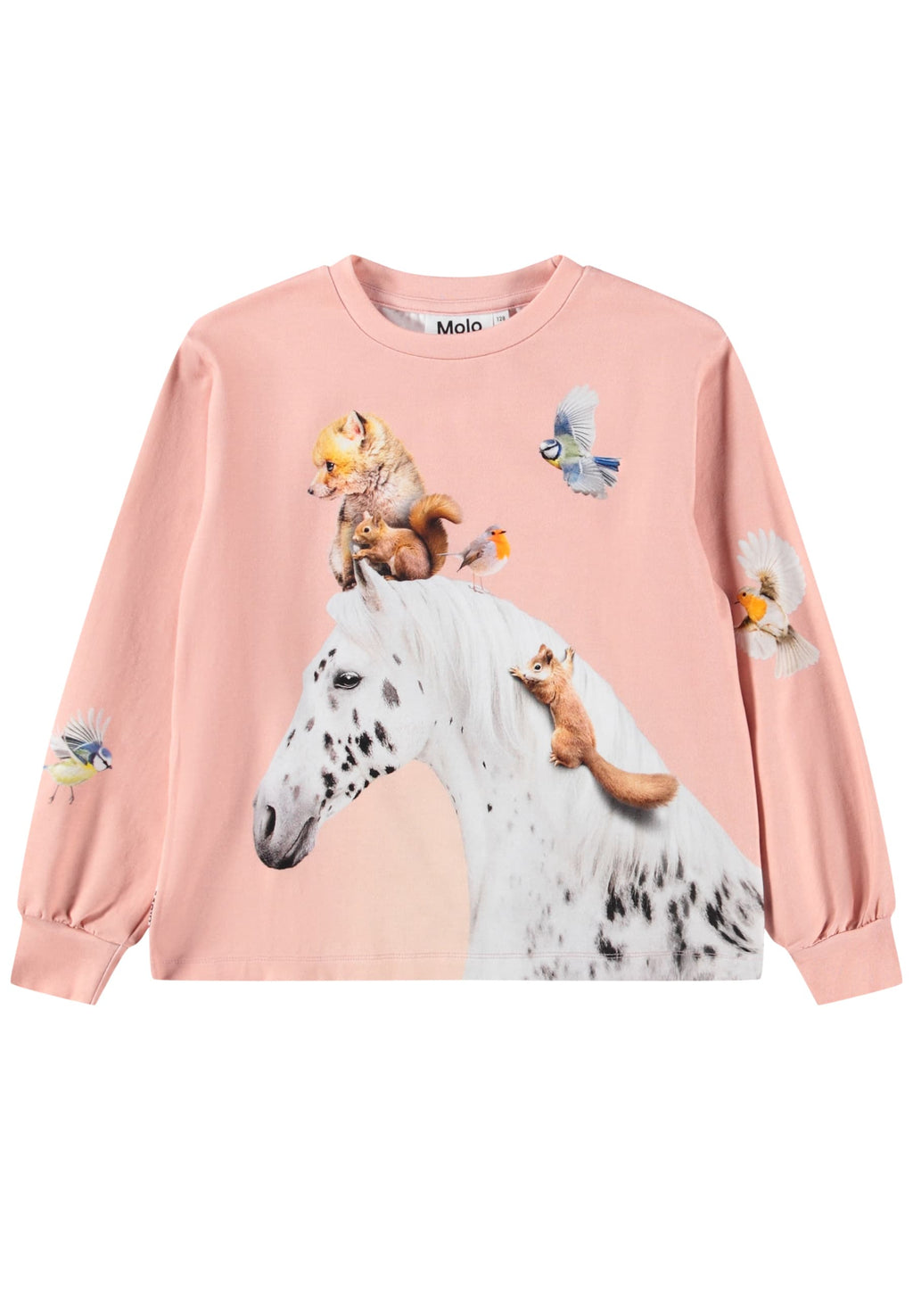 Raffy Langarmshirt 5751 Entourage Bild 1