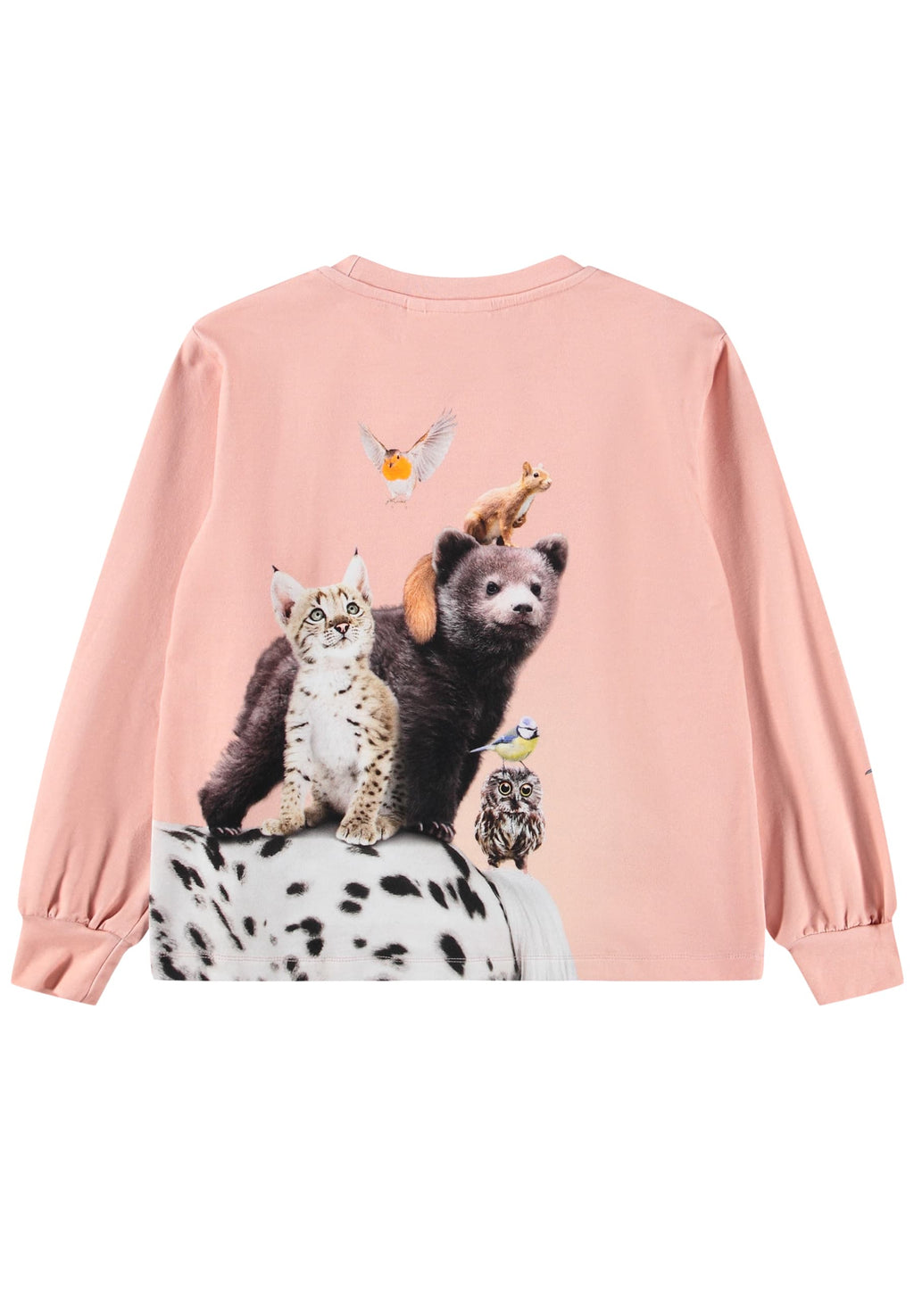 Raffy Langarmshirt 5751 Entourage Bild 2