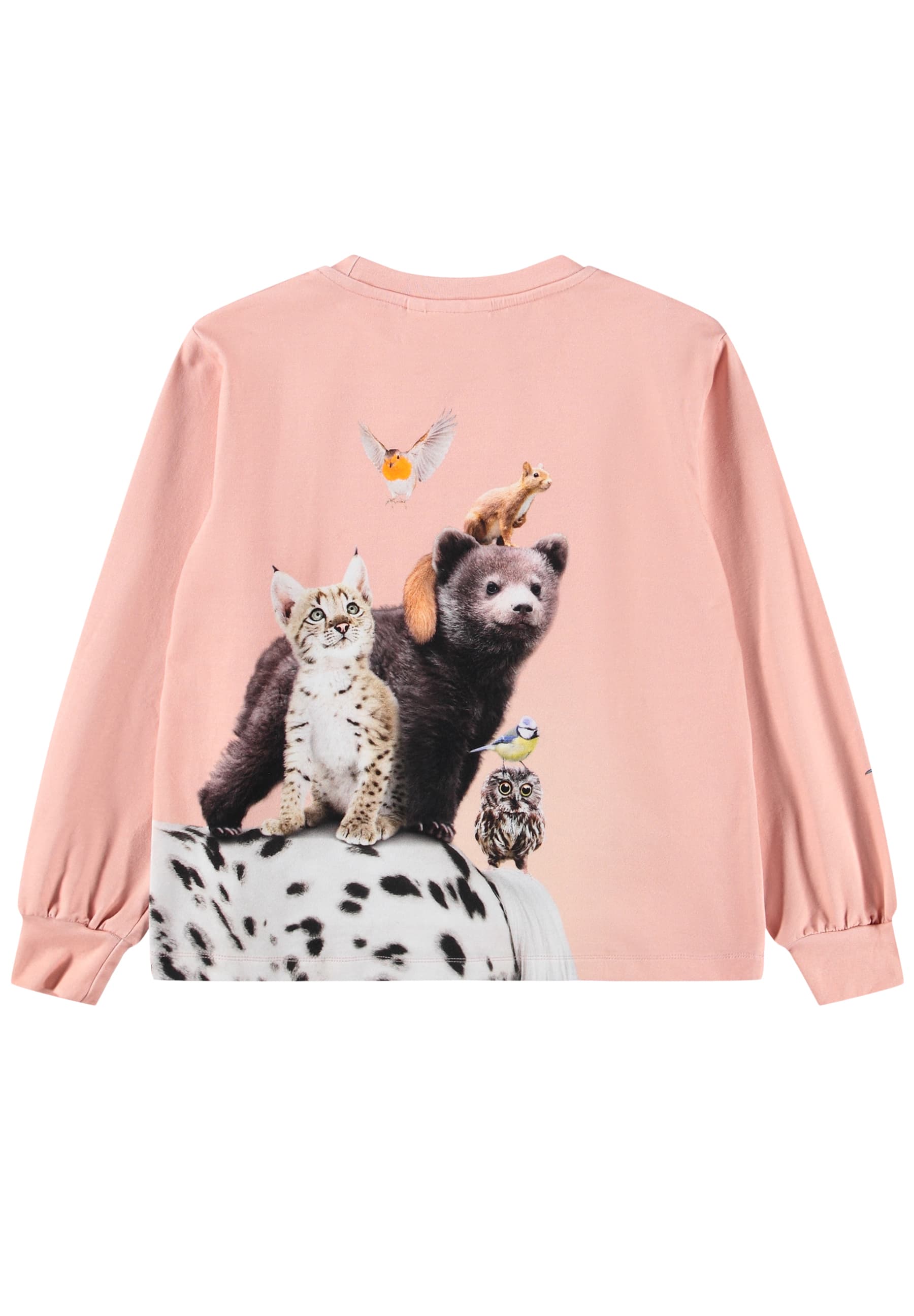 Raffy Langarmshirt 5751 Entourage Bild 2