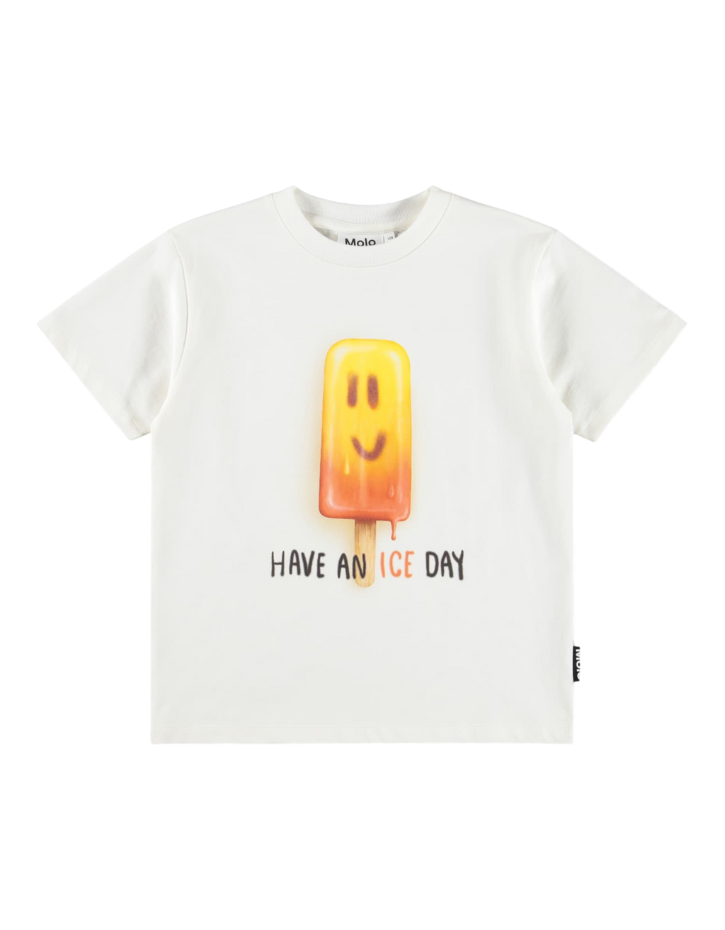 Riley T-Shirt Ice Day Bild 1