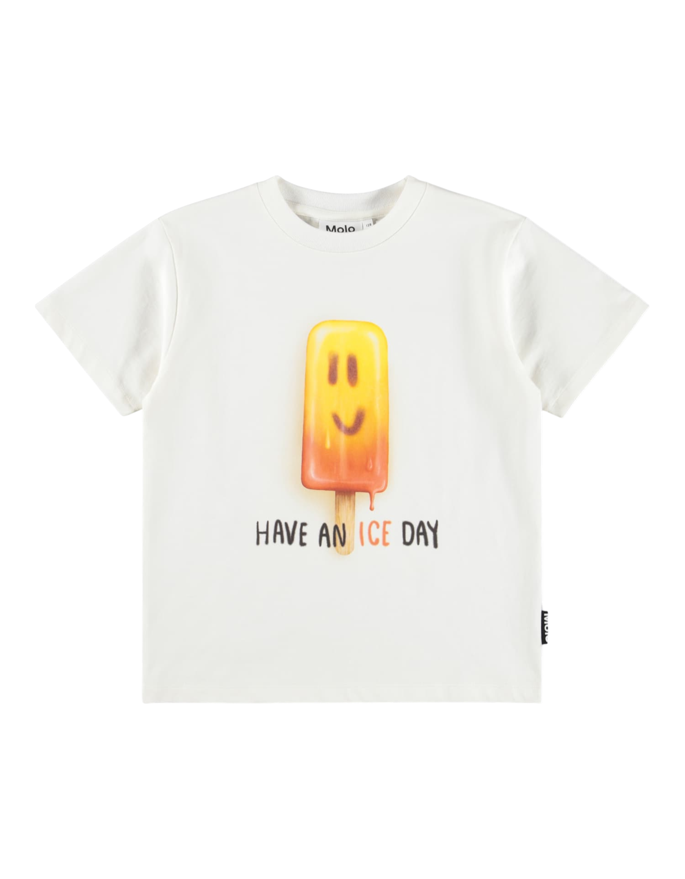 Riley T-Shirt Ice Day Bild 1