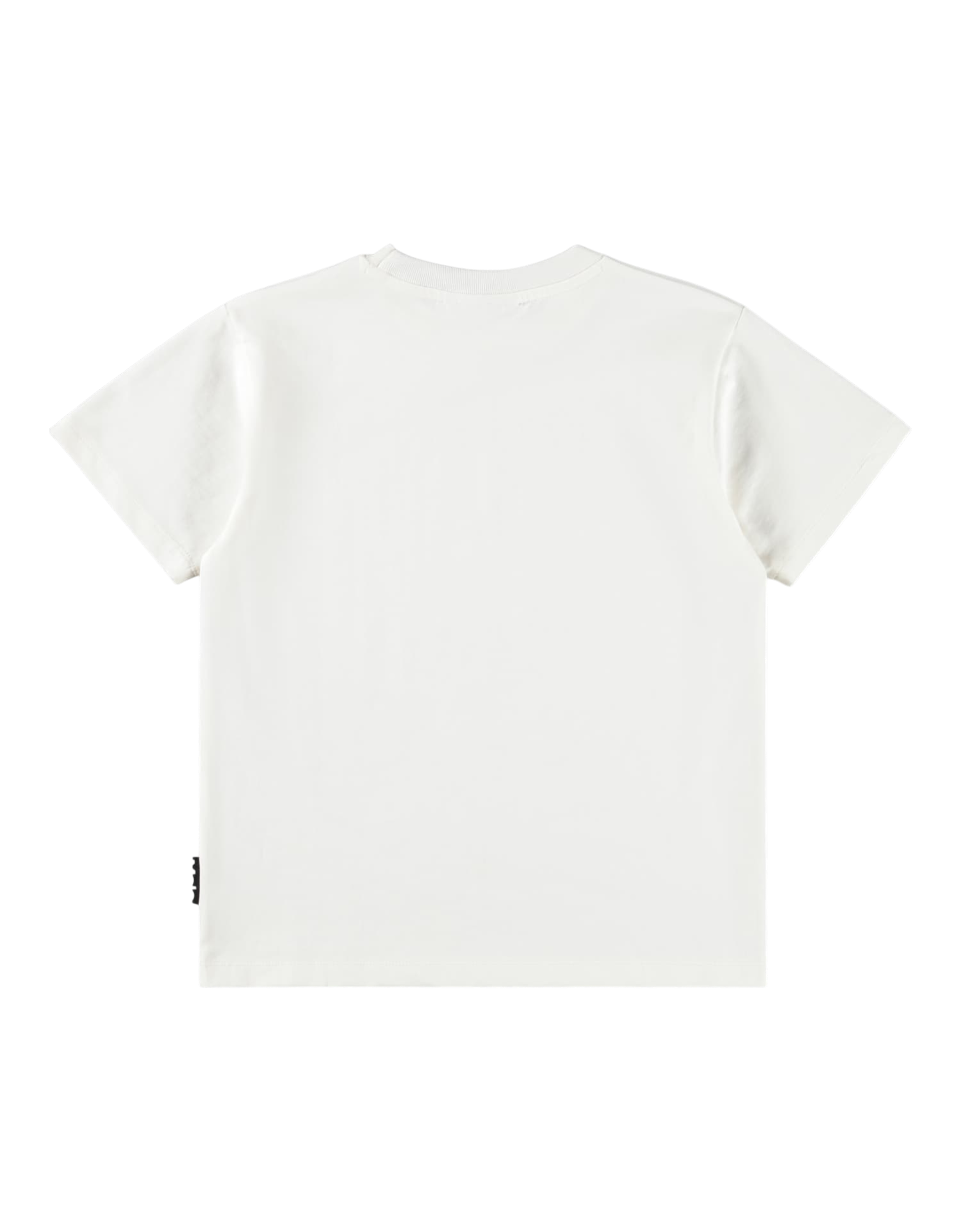 Riley T-Shirt Ice Day Bild 3