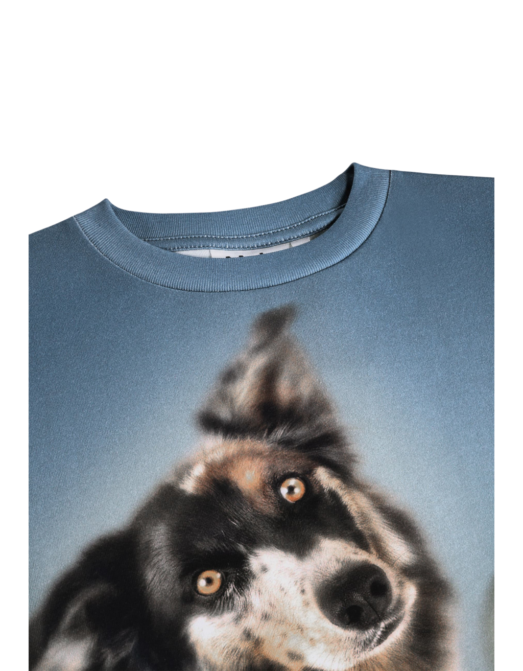 Riley T-Shirt 9953 Doggy Duo Bild 2