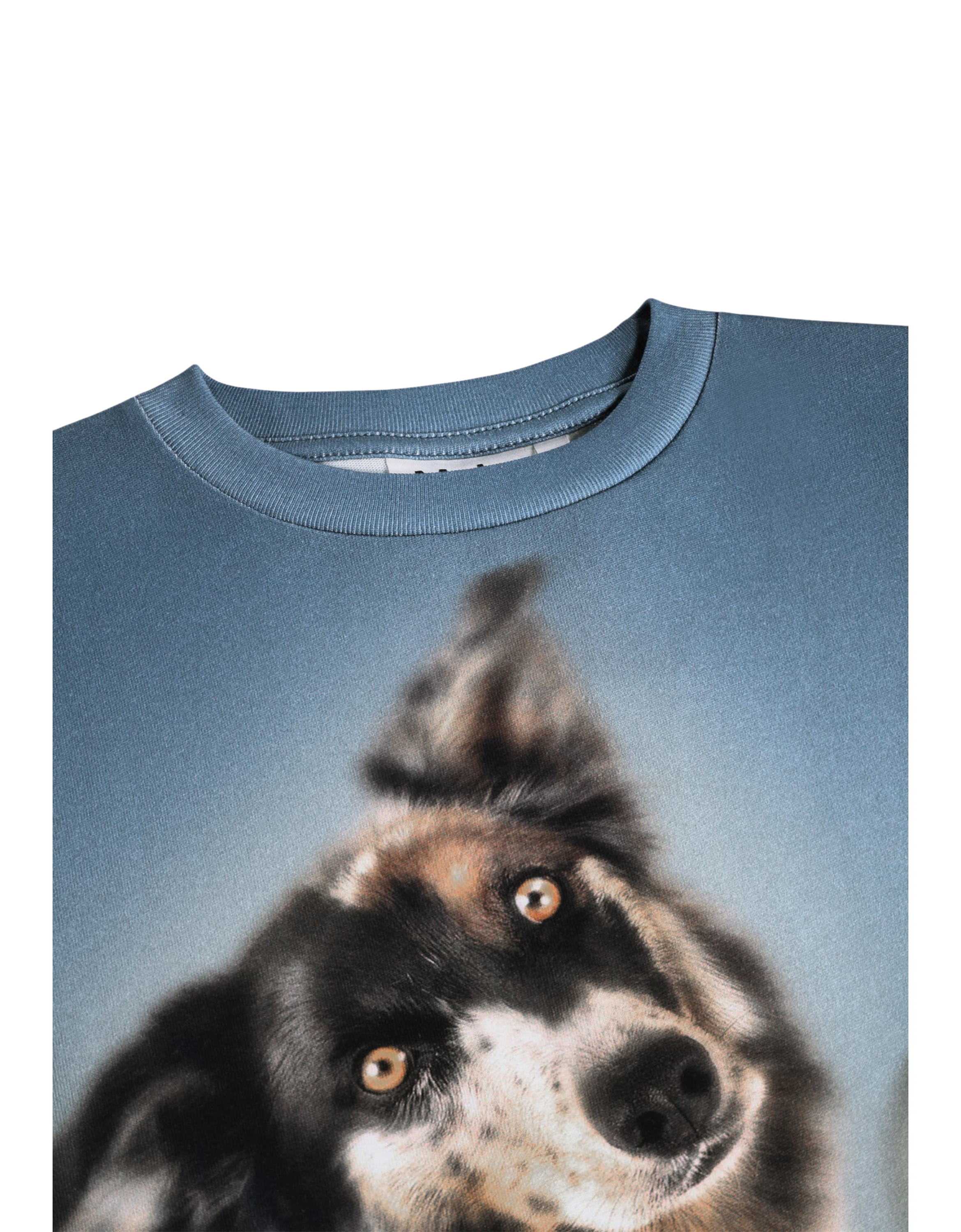 Riley T-Shirt 9953 Doggy Duo Bild 2