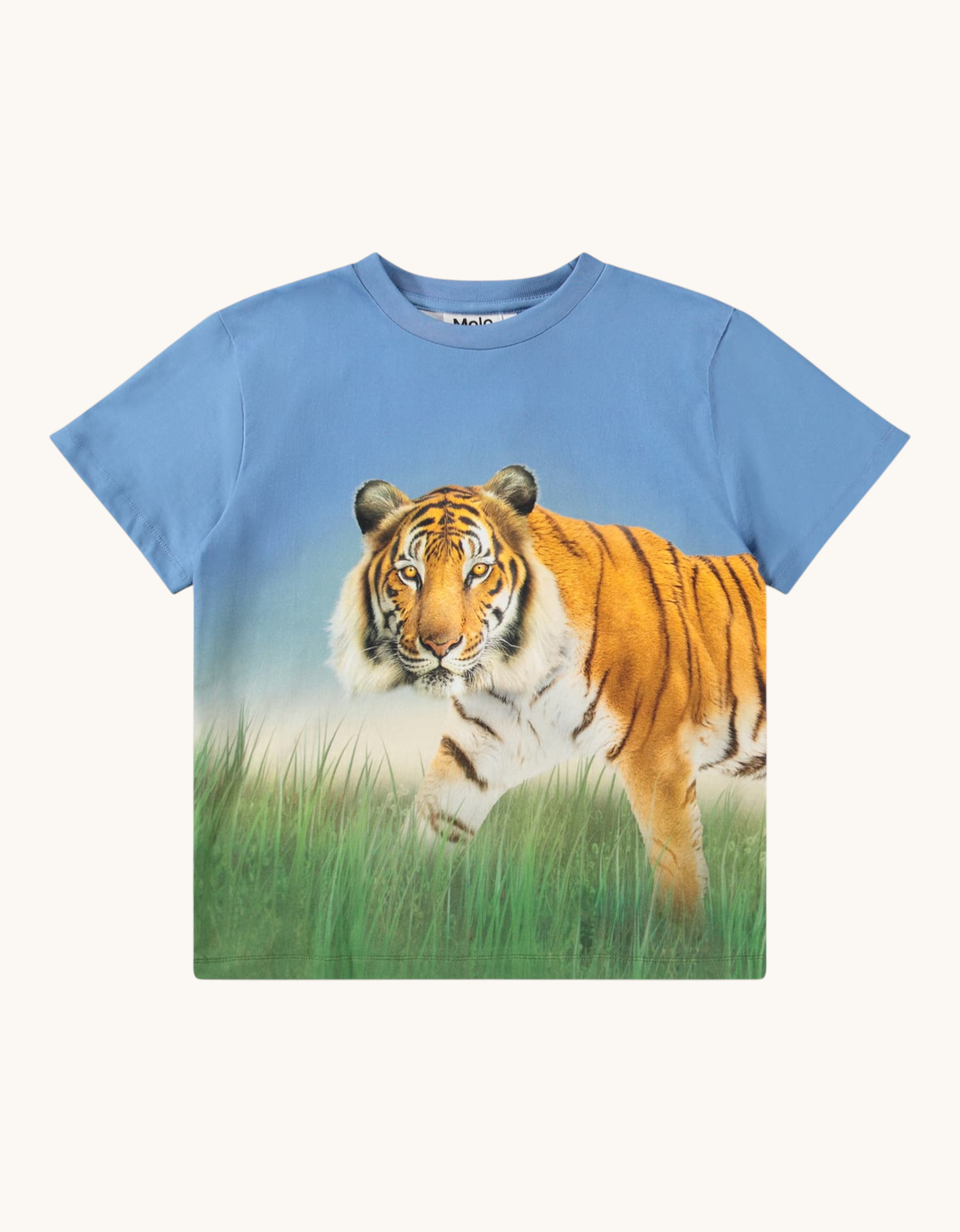 Rubin T-Shirt Tiger on Blue Bild 1
