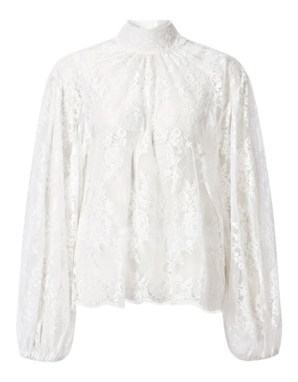 Transparente Spitzenbluse 113 Bild 1