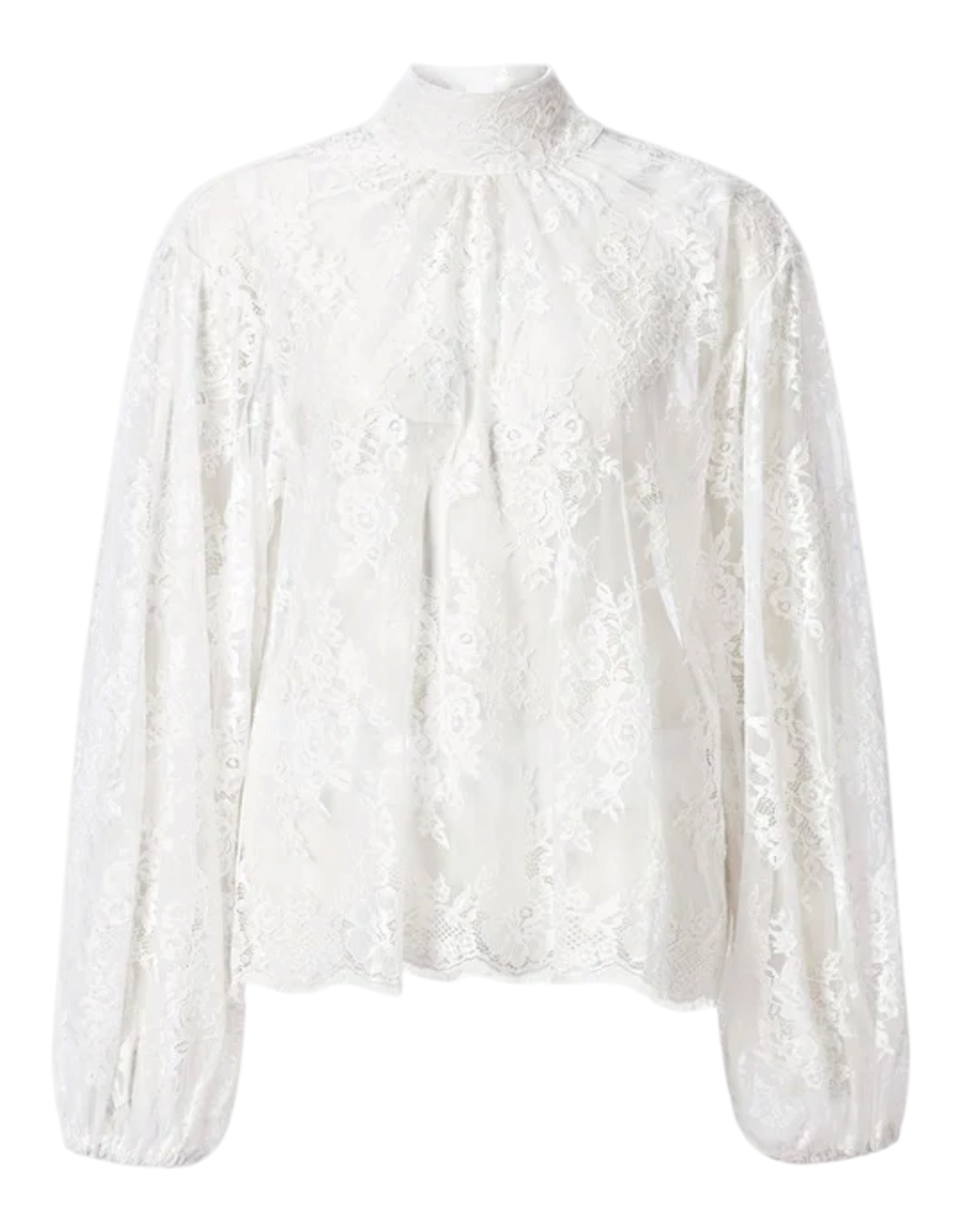 Transparente Spitzenbluse 113 Bild 1