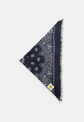 Bandana Paisley Paisley AC Bild 1