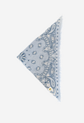 Bandana Paisley Paisley C Bild 1
