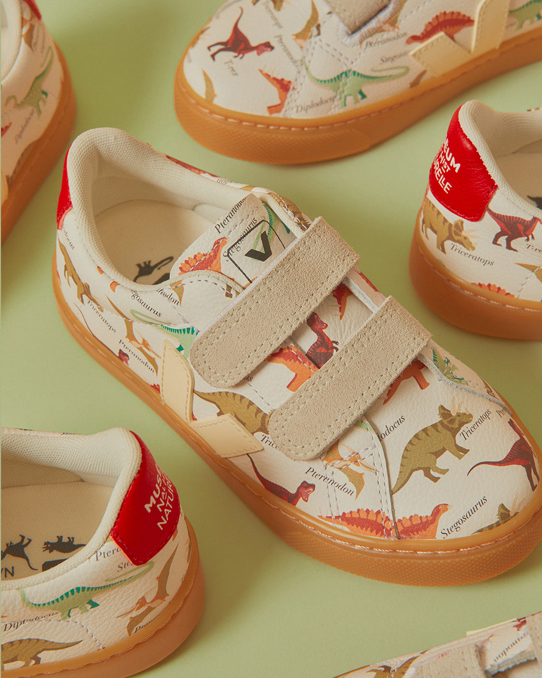 VEJA x Natural History Museum DINO Bild 2