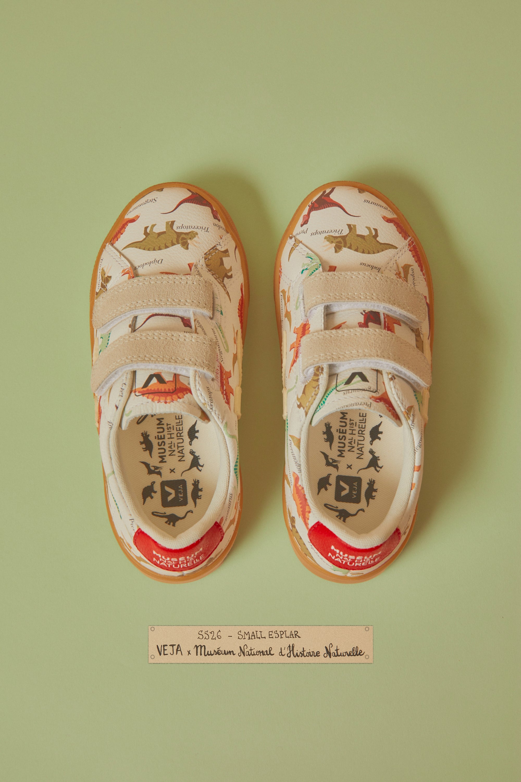 VEJA x Natural History Museum DINO Bild 3